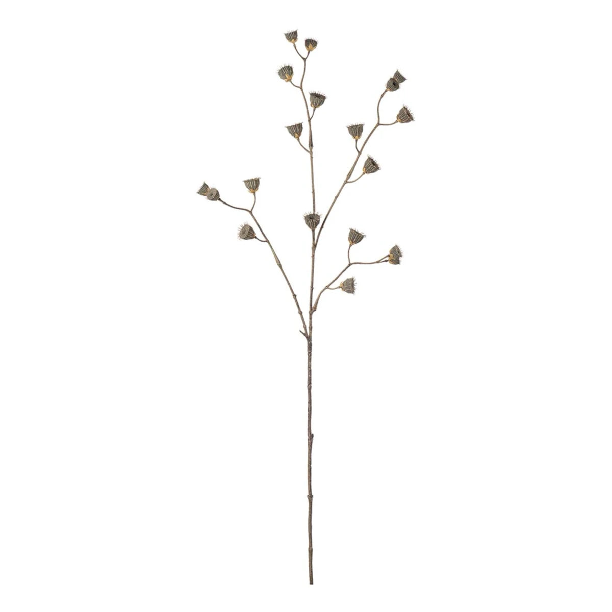 Mr. Plant Frøstand gren - 85