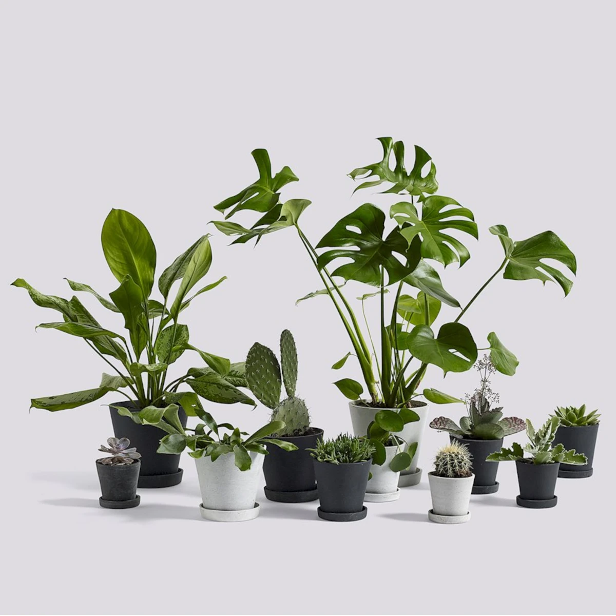 HAY Flowerpot with Saucer - Medium - Black