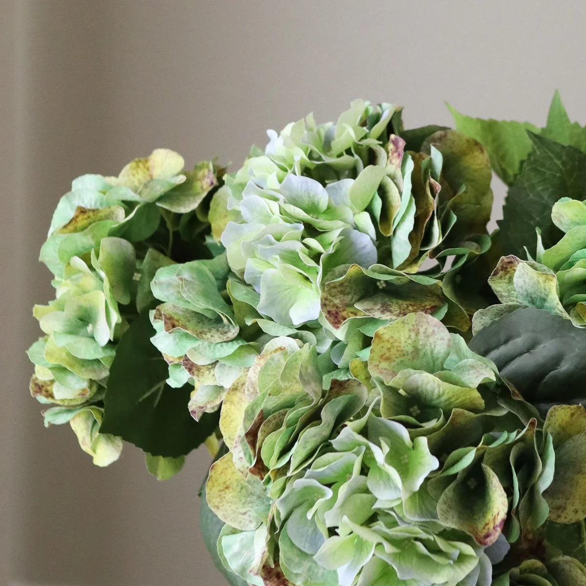 Botané Hydrangea buket - olive green