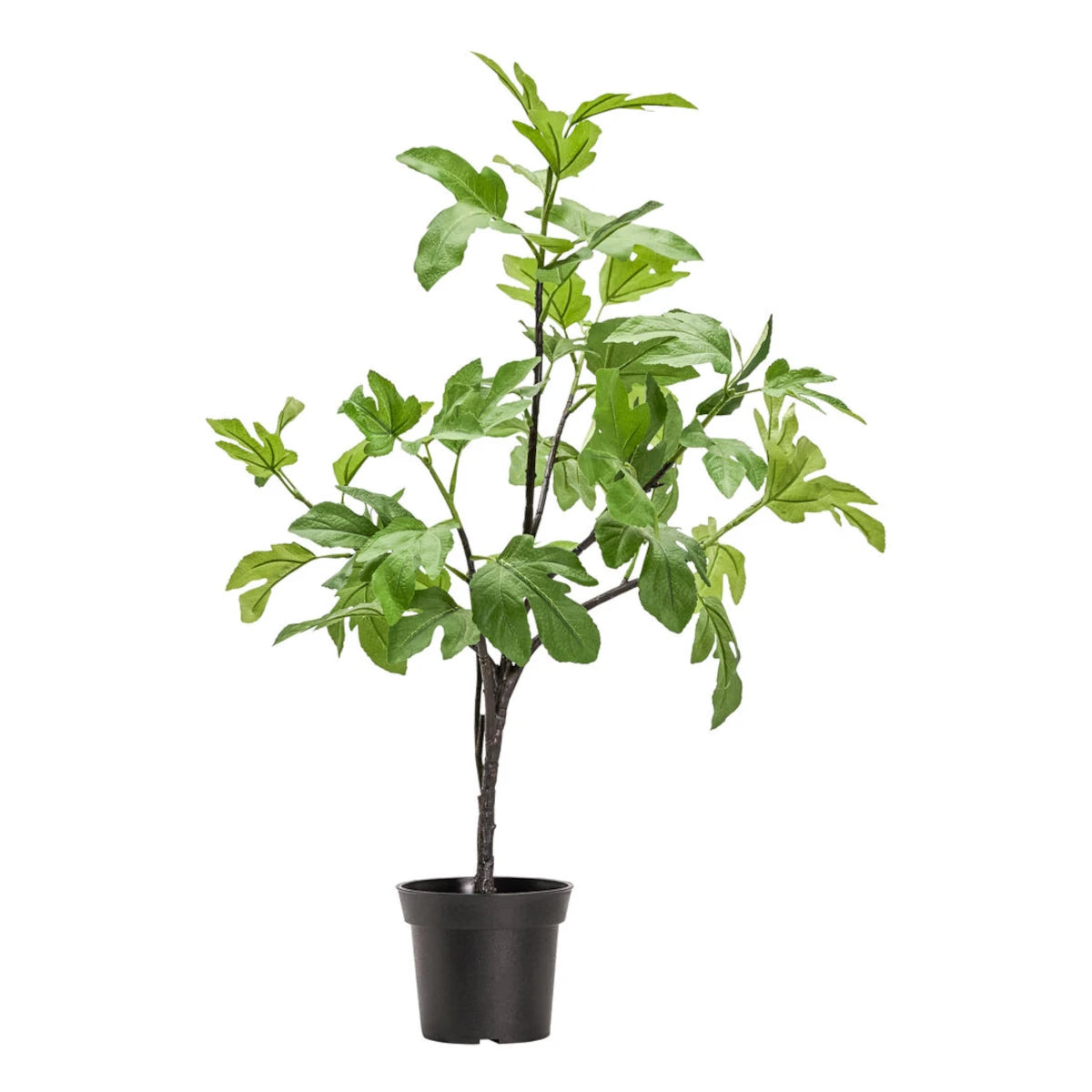 House Doctor Fig Kunstig plante - 81