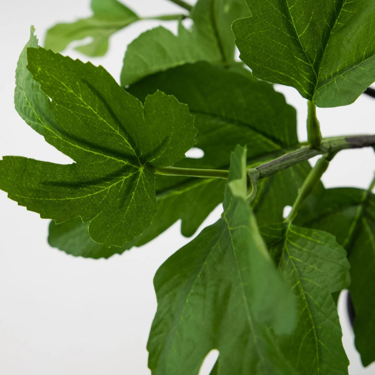 House Doctor Fig Kunstig plante - 81