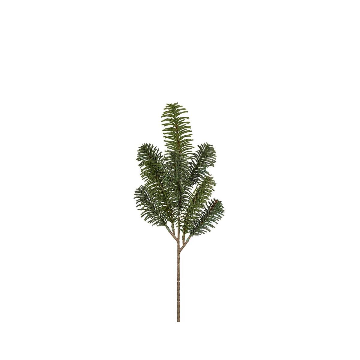 Mr. Plant Gran gren -40