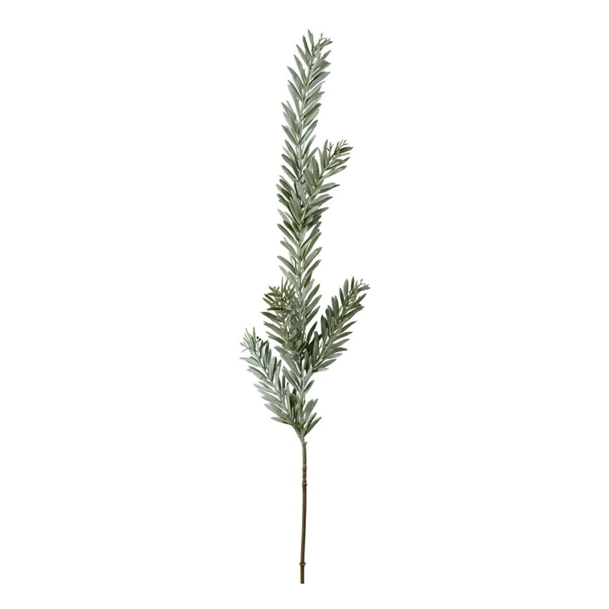Mr. Plant Gran gren - støvgrøn - 90