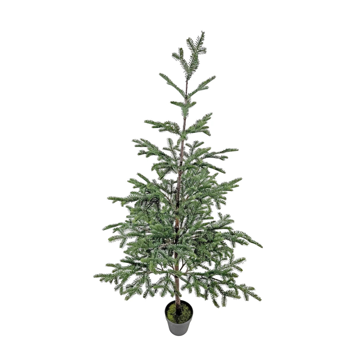 Shishi Juletræ m/potte - 165 cm