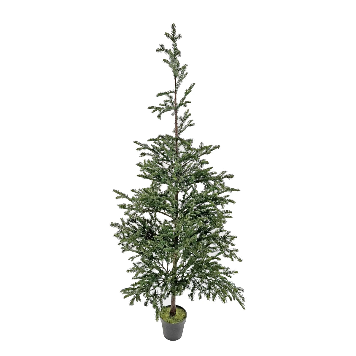 Shishi Juletræ m/potte - 200 cm