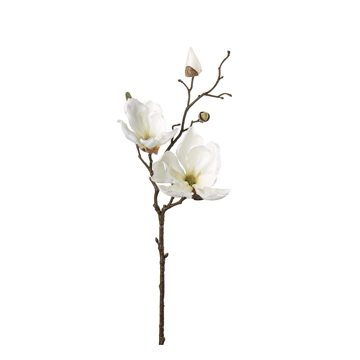 Mr Plant Magnolia blomst  - hvid - 45