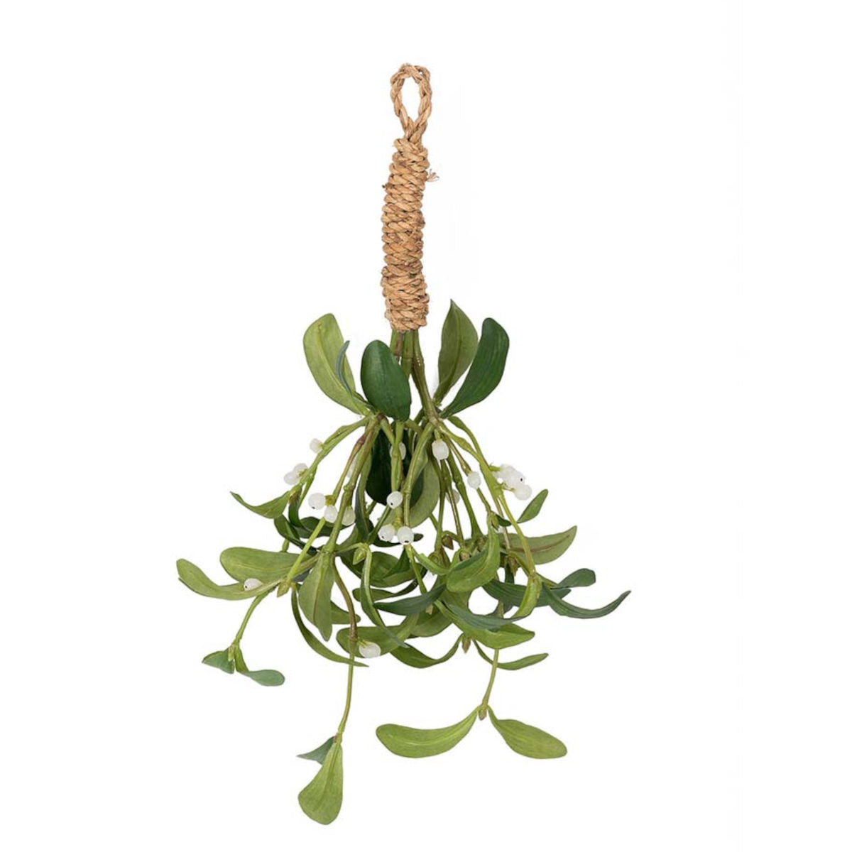 Mr. Plant Mistelten - 35