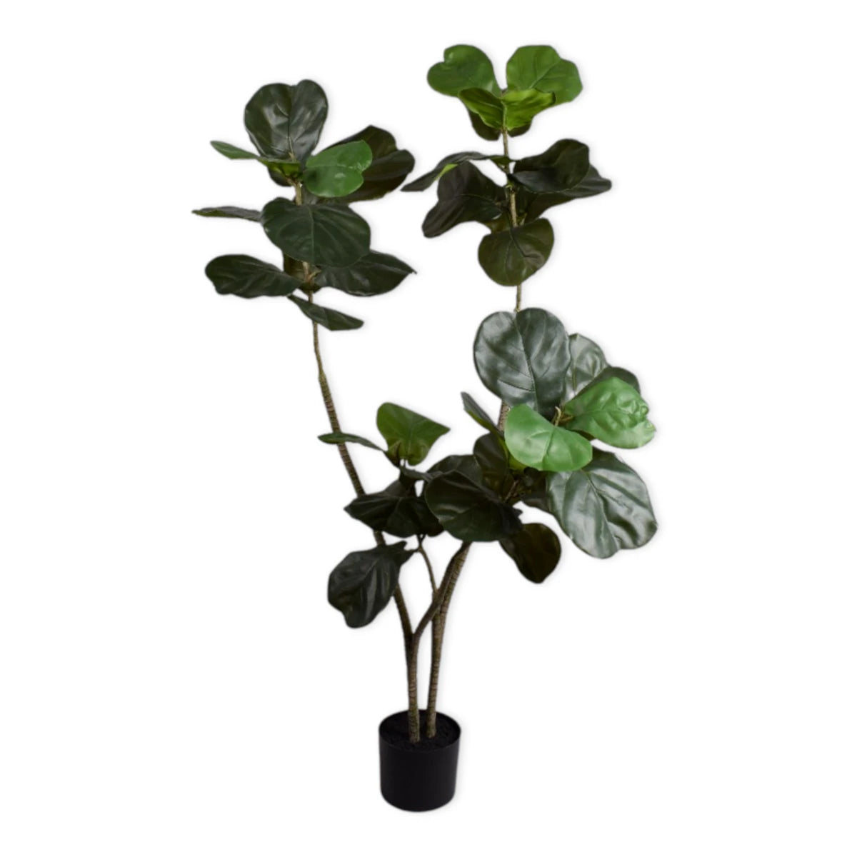 Kunstig Ficus plante - 150