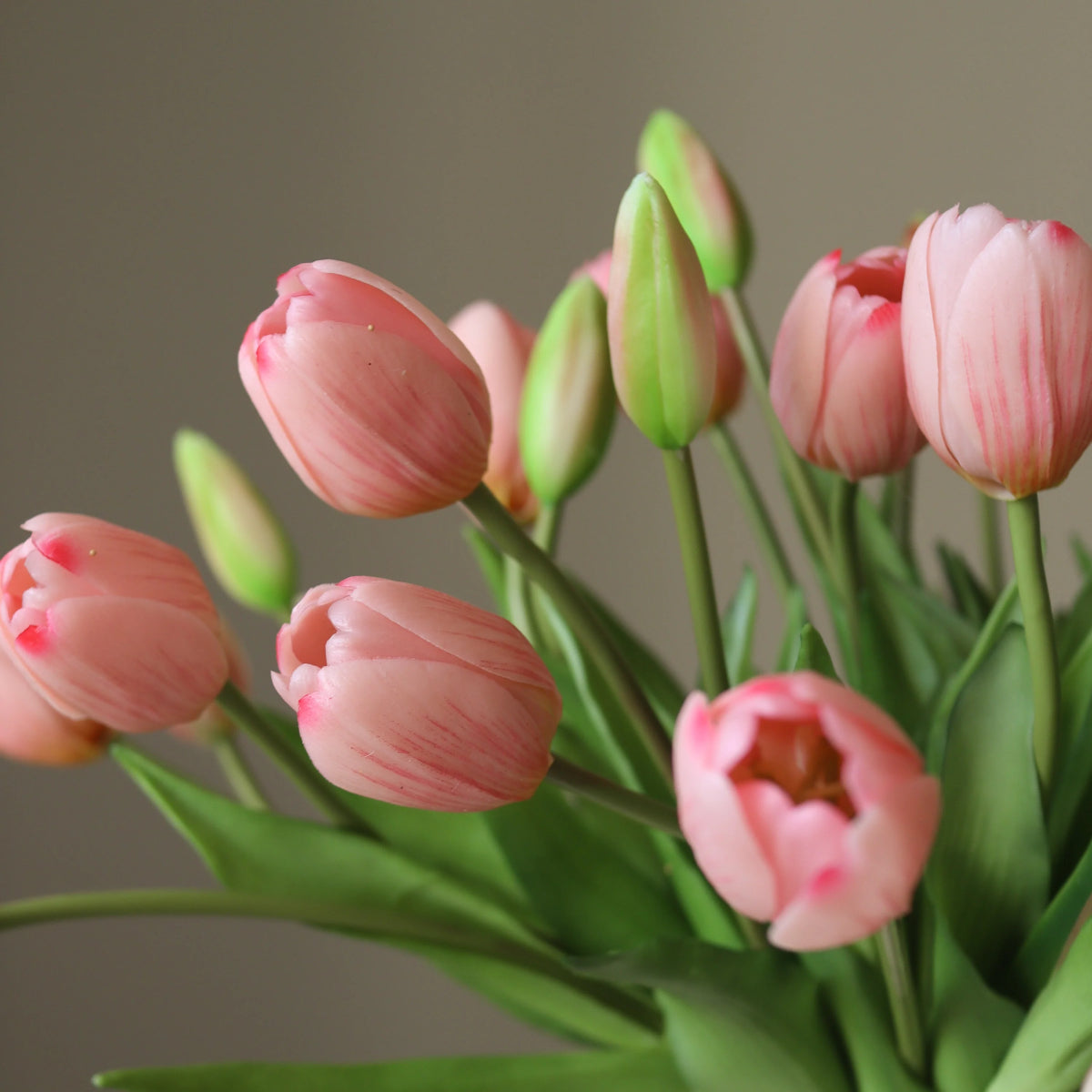 Botané Tulip Grand buket - light pink