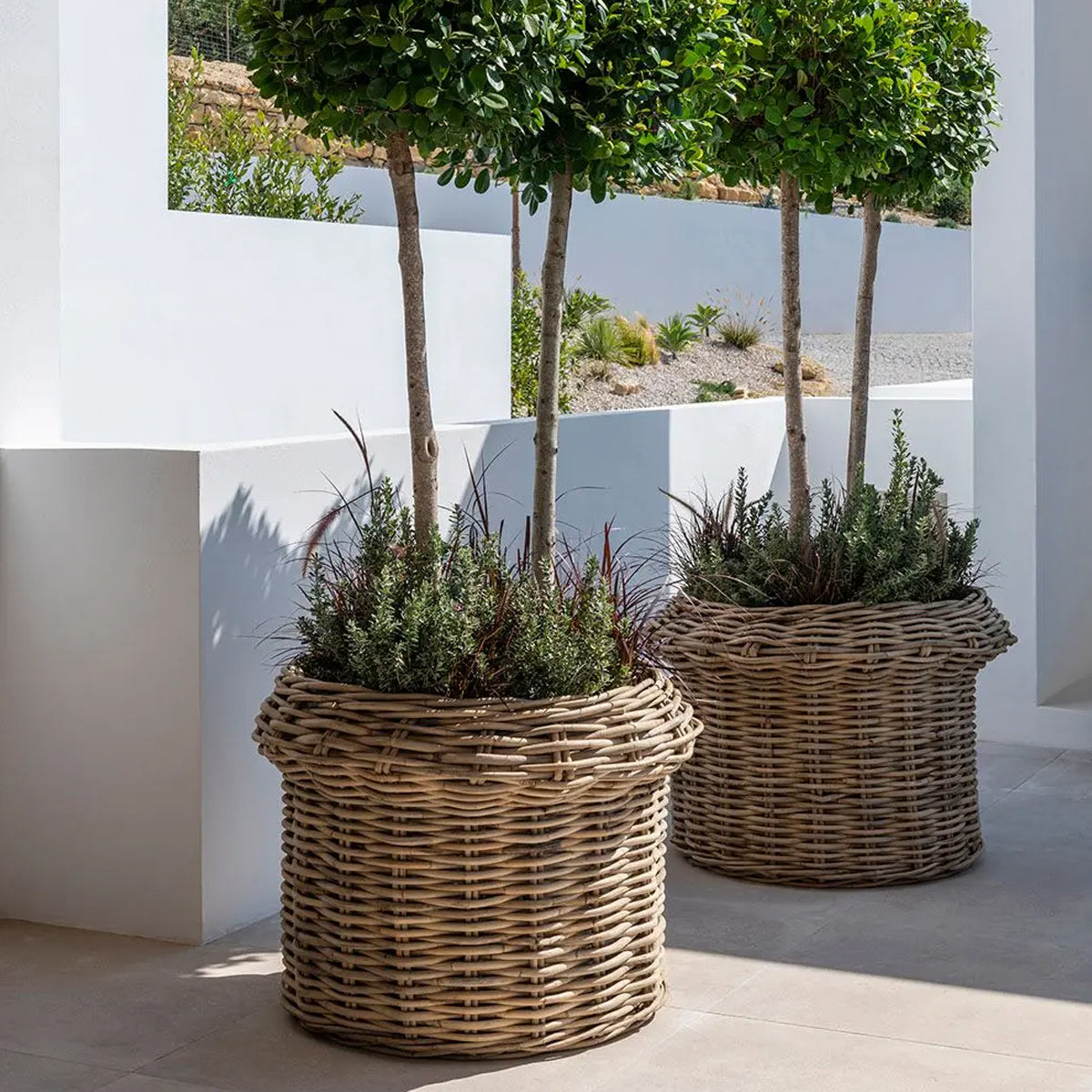 Gommaire Hendrik Large Planter - Rattan