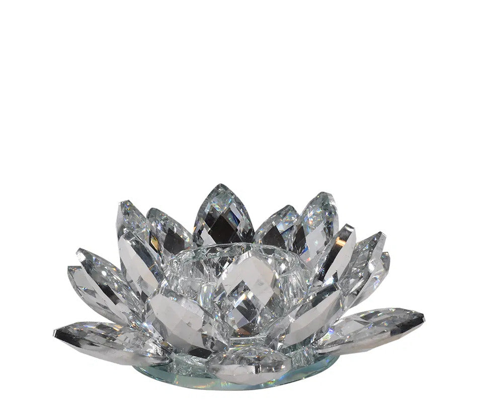 La Vida Lotus stage - klar - 12x5