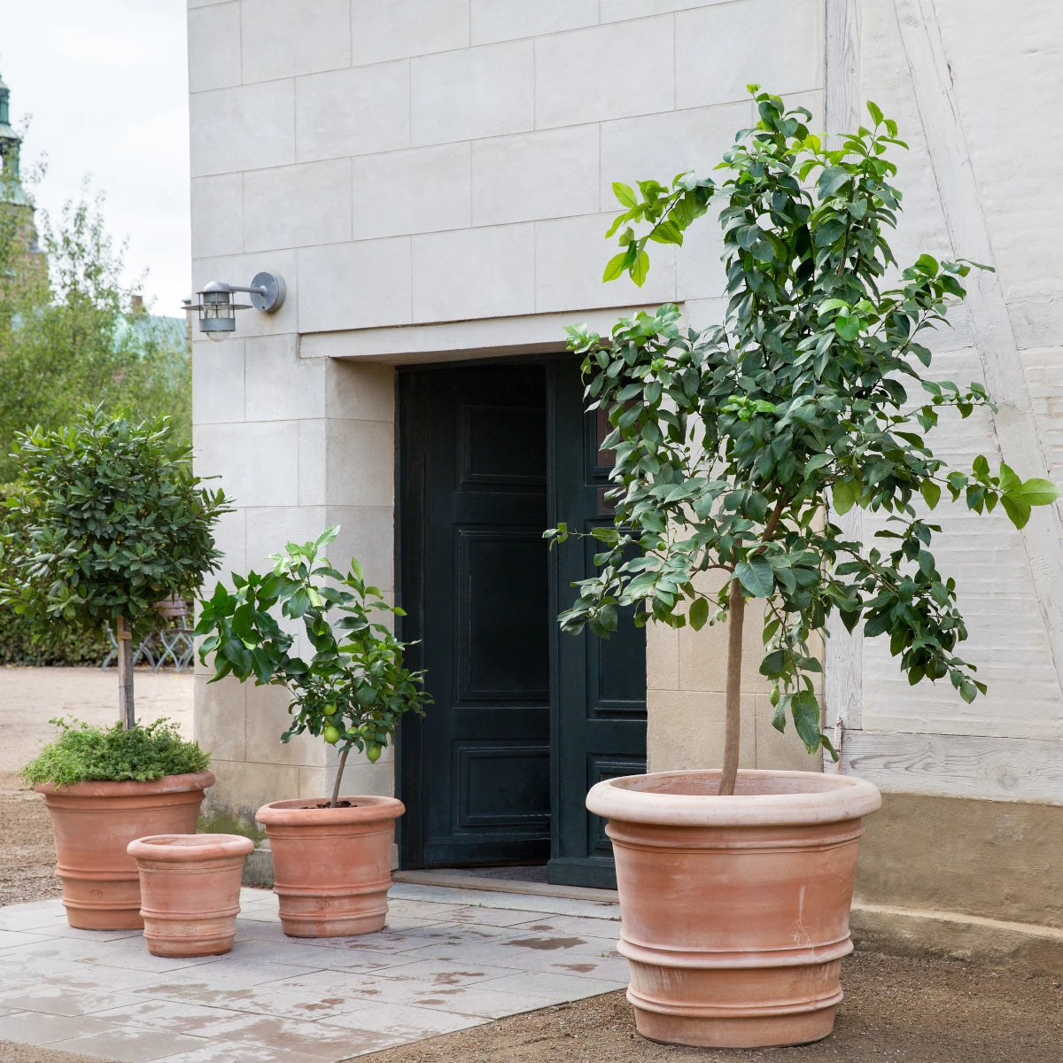 Bergs Potter Lucca krukke - 50x45 - rosa terracotta