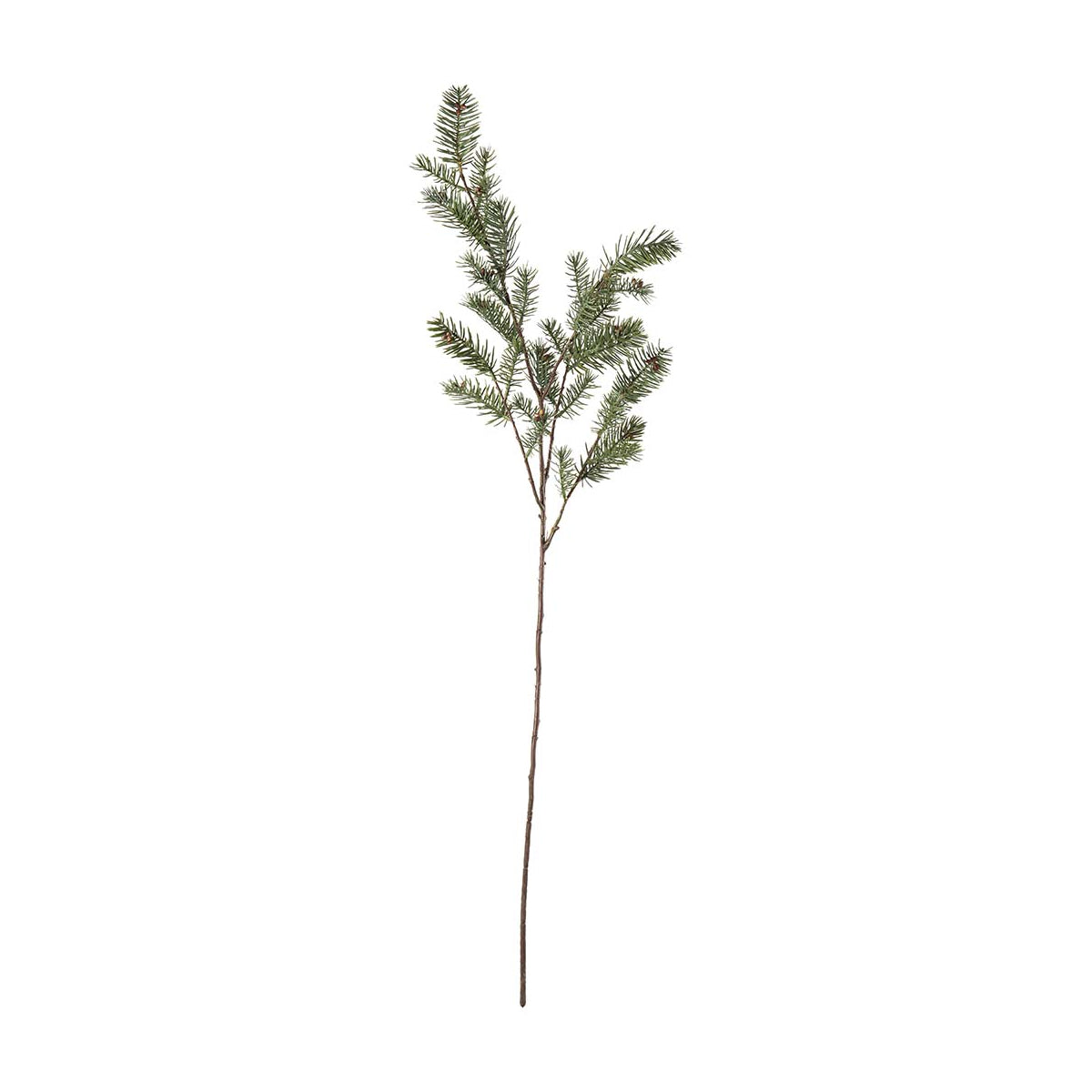 Mr. Plant Gran gren - 80