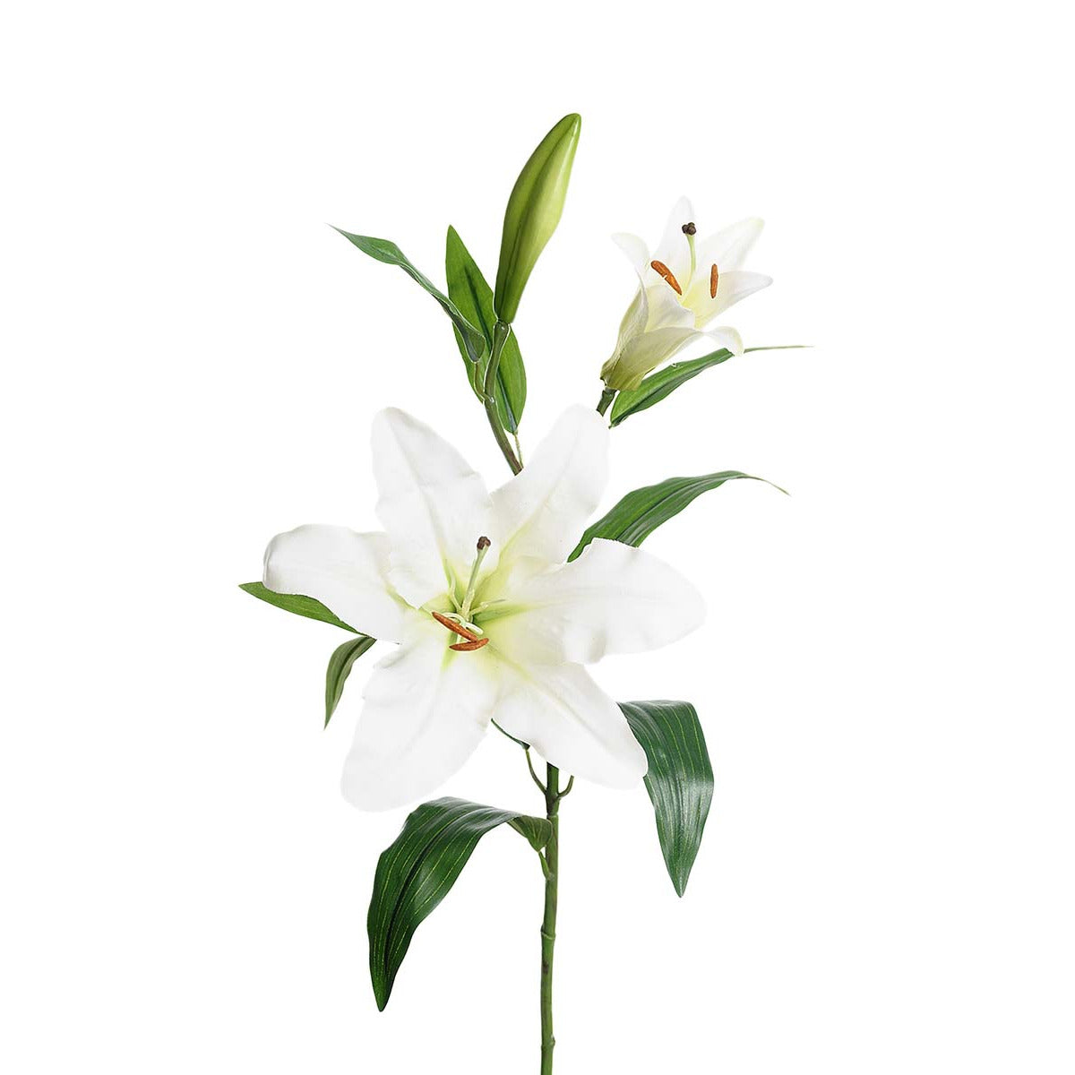 Mr Plant Lilje blomst - hvid - 70