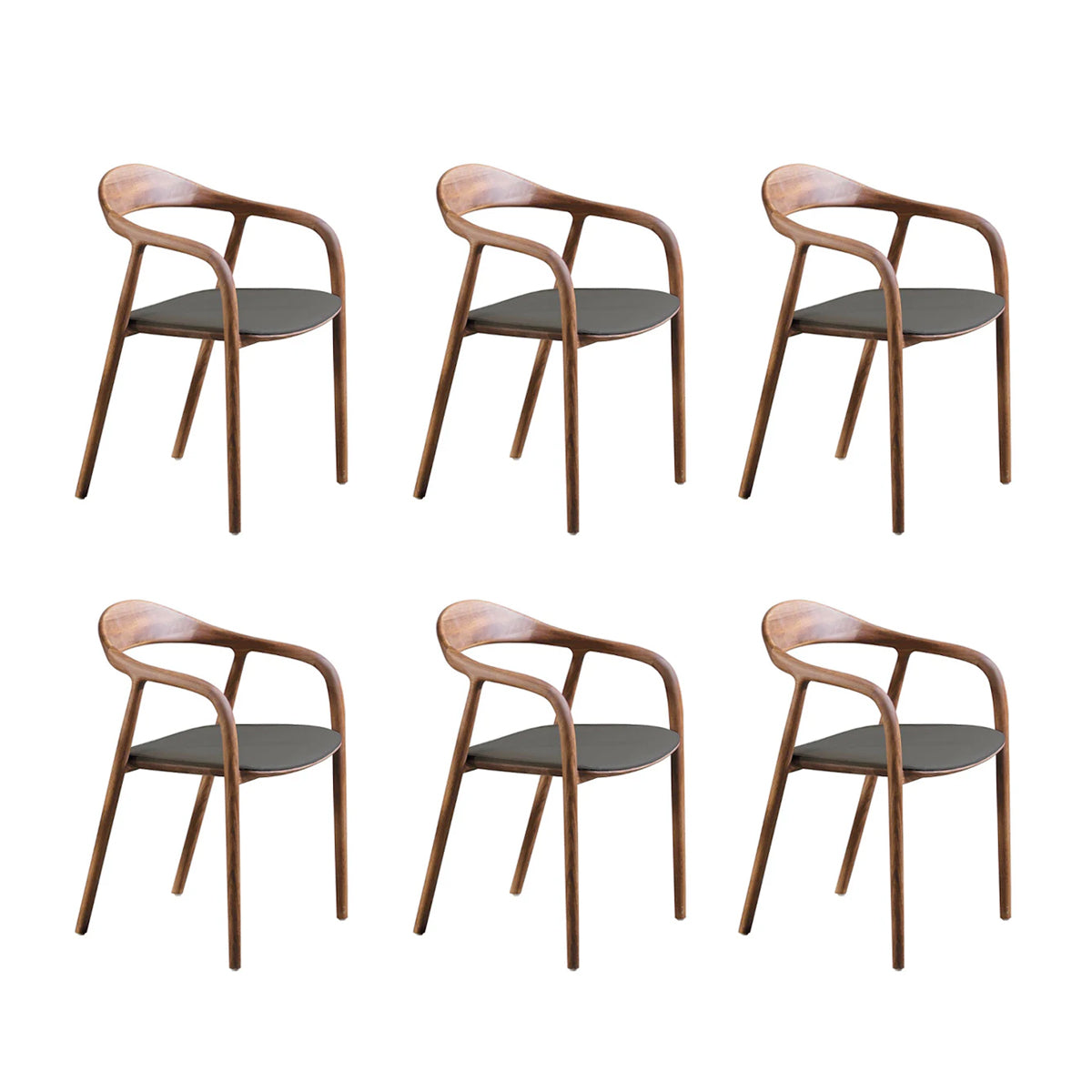 Artisan Neva Chair - Valnød - Sort Zenith Læder - 6 stk. Samlet - DEMO.