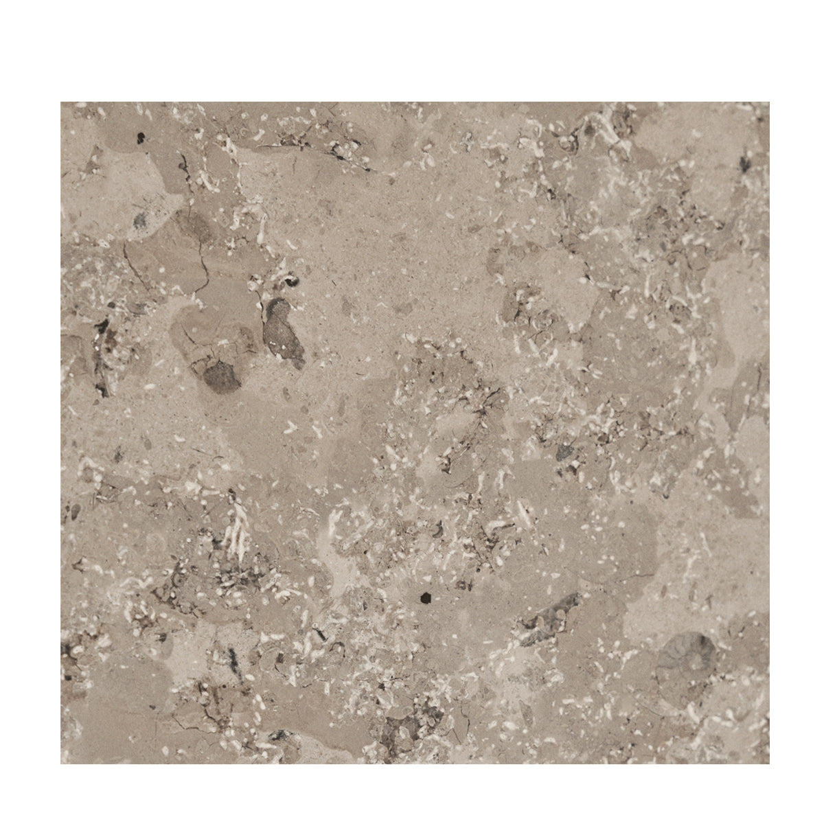 Vipp 427 Coffee table - Square - 80x80