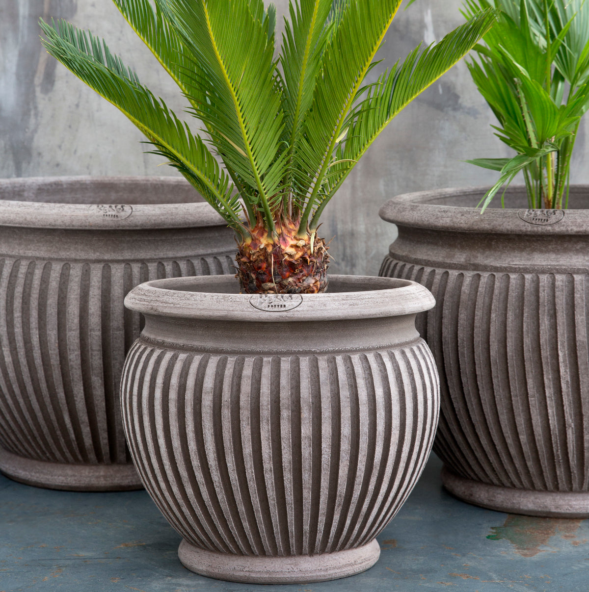 Bergs Potter Piccolina krukke - 35x31 - grå terracotta