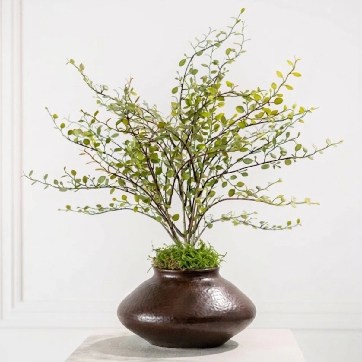 Silk-ka Muehlenbeckia gren - 58