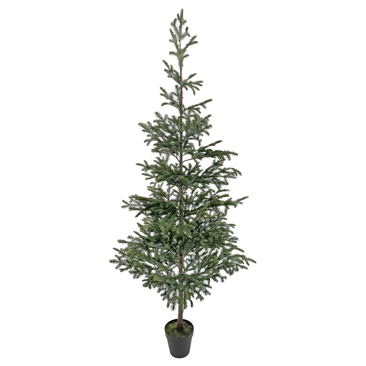 Shishi Juletræ m/potte - 240 cm