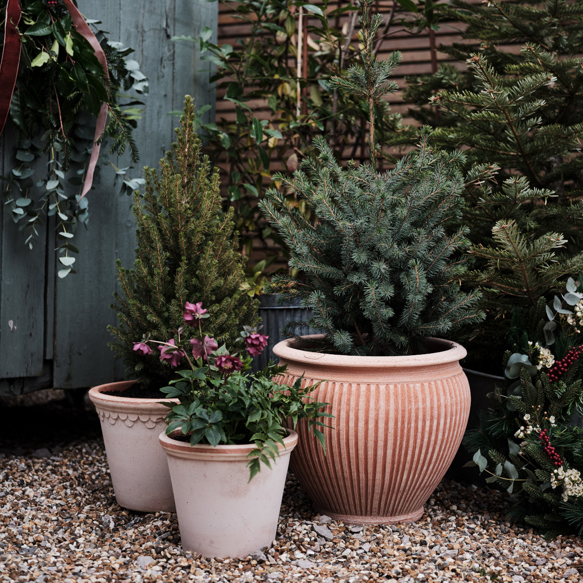 Bergs Potter Piccolina krukke - 35x31 - rosa terracotta