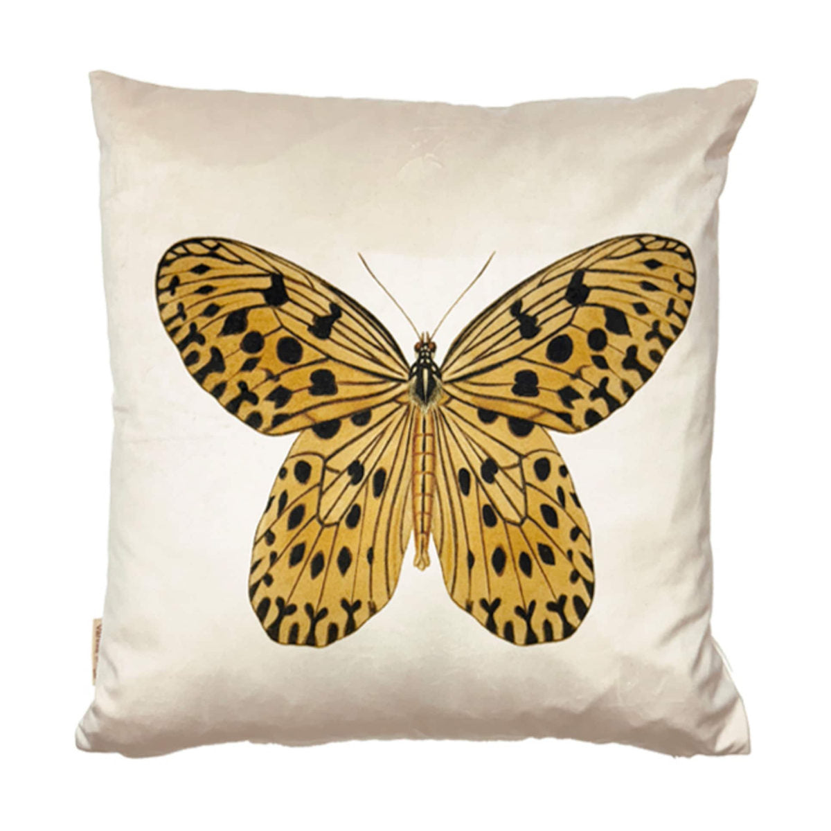 Vanillafly pude - yellow butterfly - 50x50 - inkl fyld